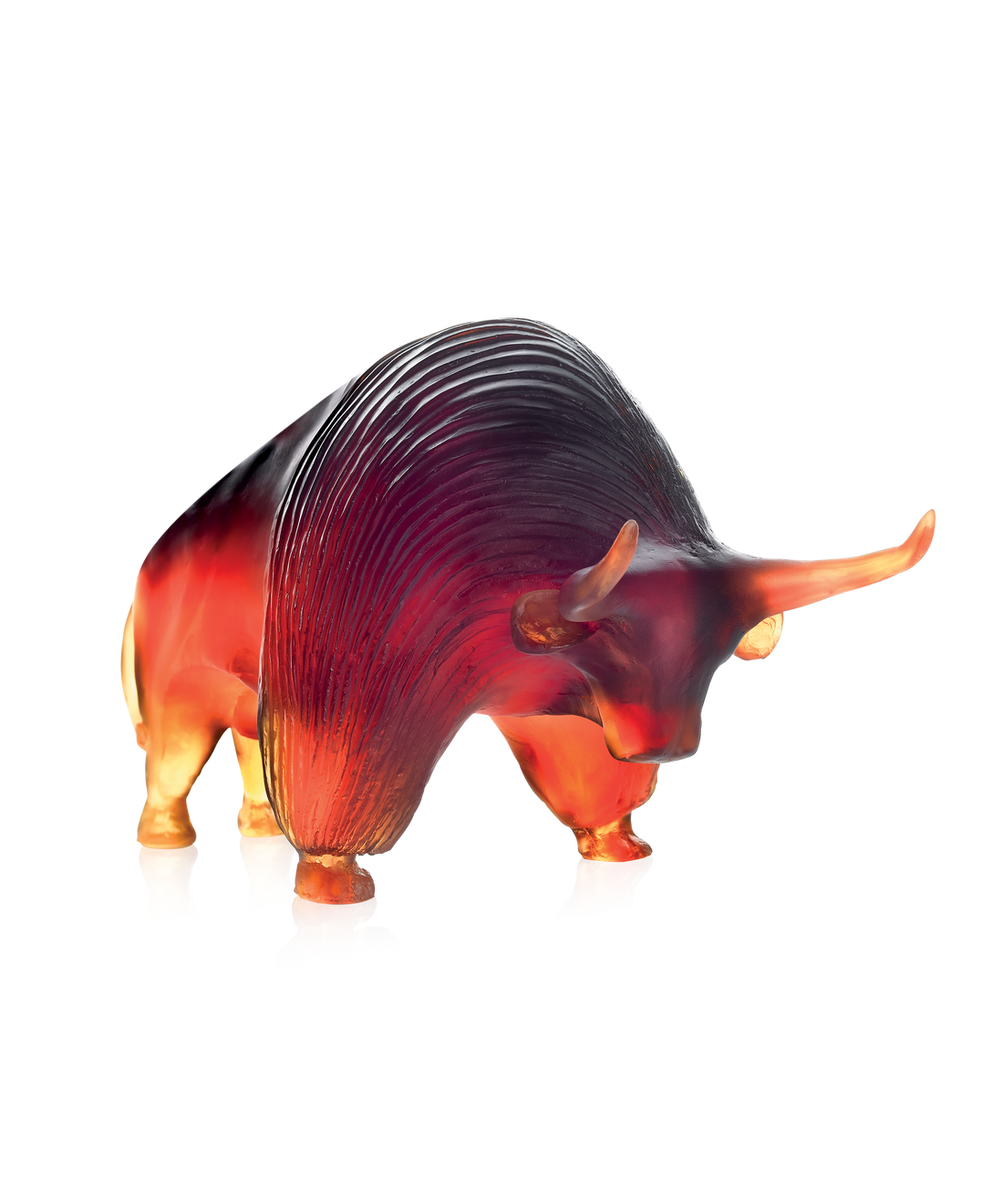 Zebu de Xavier Carnoy 1000ex - Daum