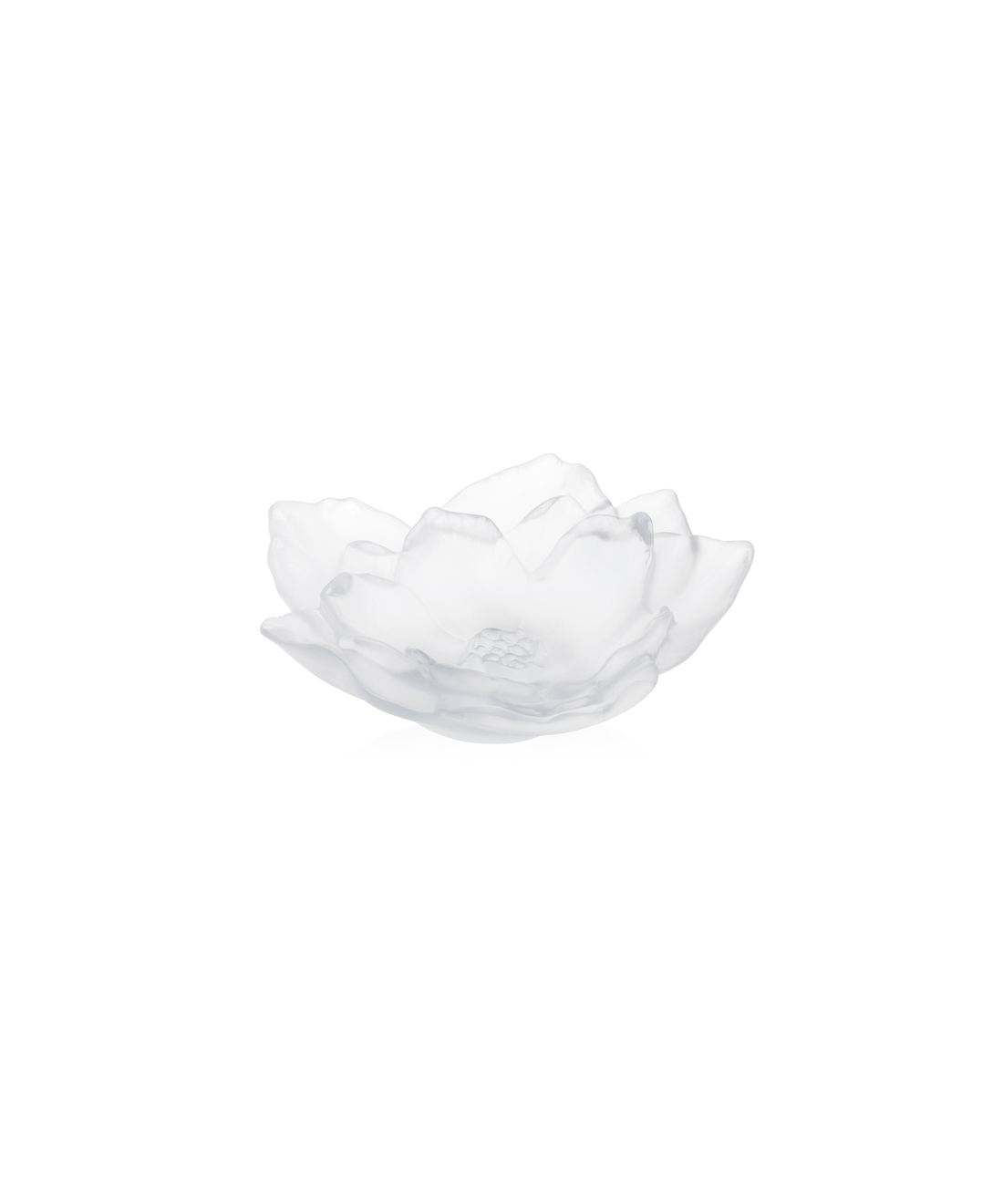 Camelia Coupe petit modèle Blanche - Daum