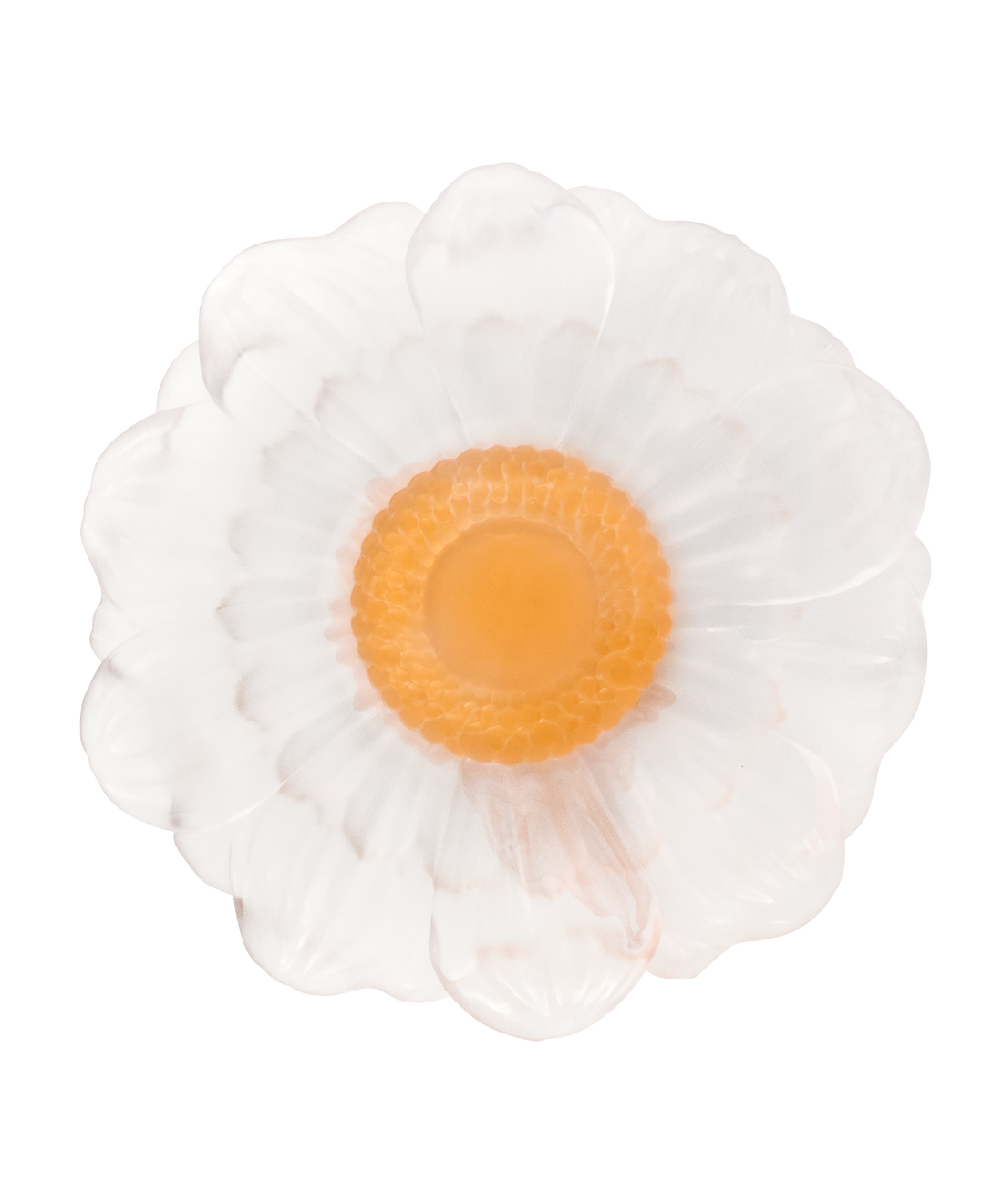 Or d'Abeille Fleur de présentation moyen modèle blanche