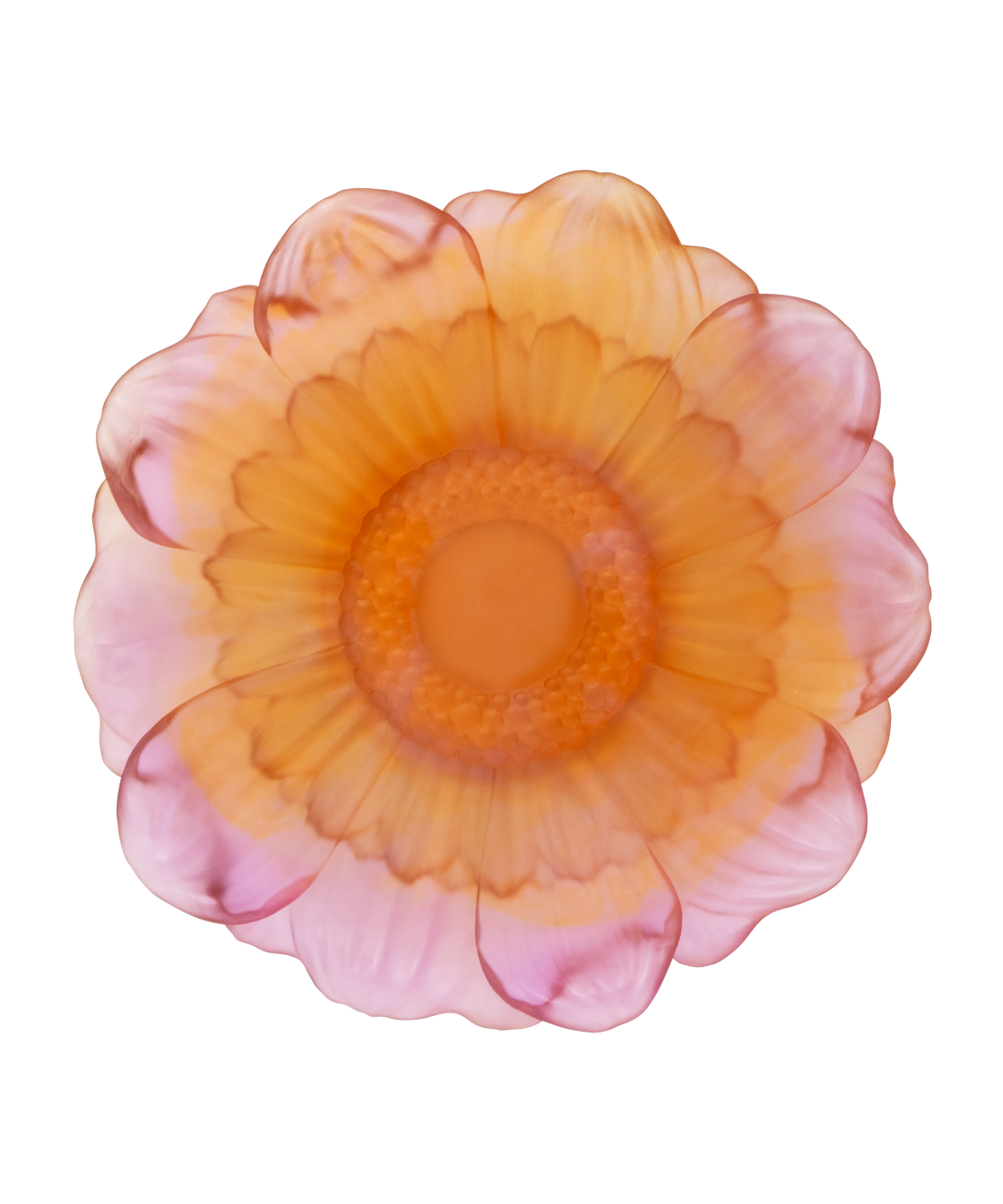 Or d'Abeille Fleur de présentation moyen modèle ambre-rose