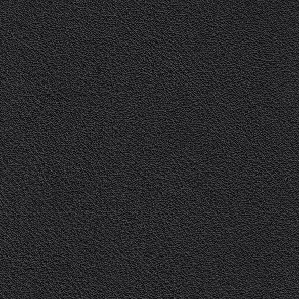 WILMA