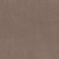 RITA