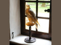 Daum amber-rose glass falcon sculpture by Madeleine Van der Knoop on a pedestal.