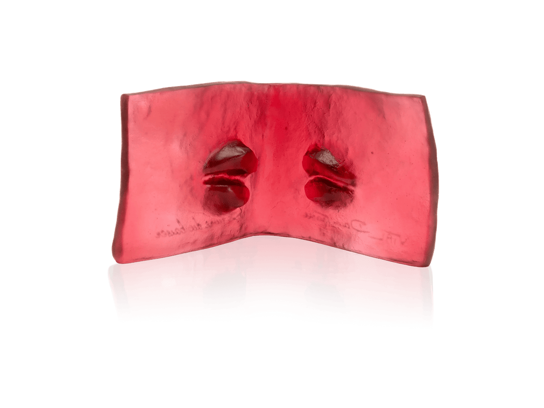 daum-default-title-le-livre-du-baiser-de-dominique-vial-125ex-57386586407251_e27714ea-f200-4722-8b1c-ef9765218a5d - Benjamin & Maxwell