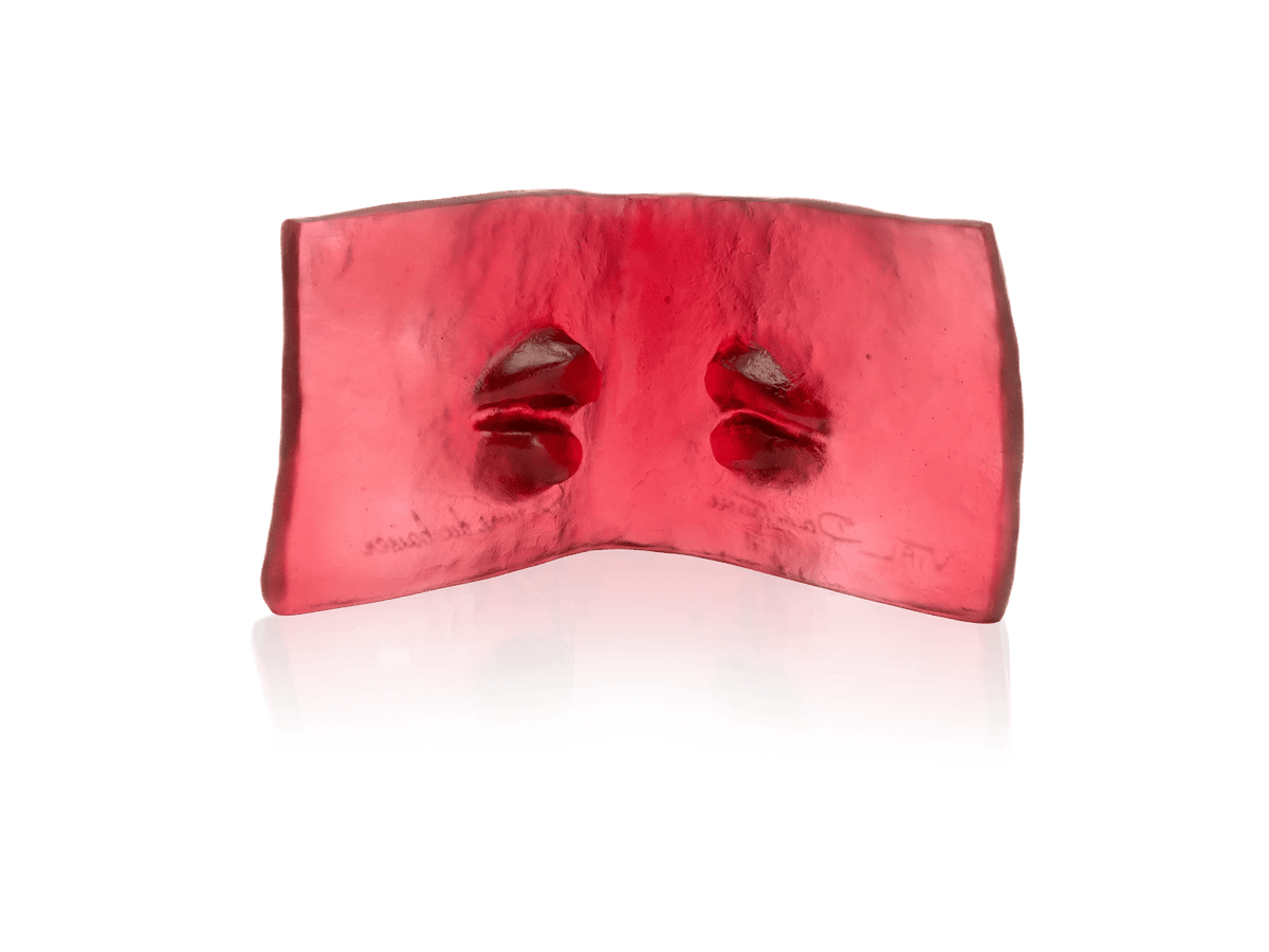 daum-default-title-le-livre-du-baiser-de-dominique-vial-125ex-57386586407251_e27714ea-f200-4722-8b1c-ef9765218a5d - Benjamin & Maxwell