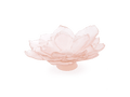 Daum Camelia Coupe grand modèle in soft pink glass, shaped like a blooming flower.