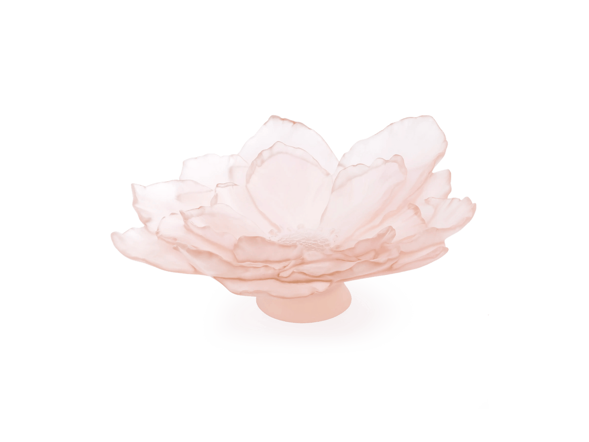 Daum Camelia Coupe grand modèle in soft pink glass, shaped like a blooming flower.