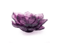 Daum Camelia Coupe grand modèle Violette glass sculpture