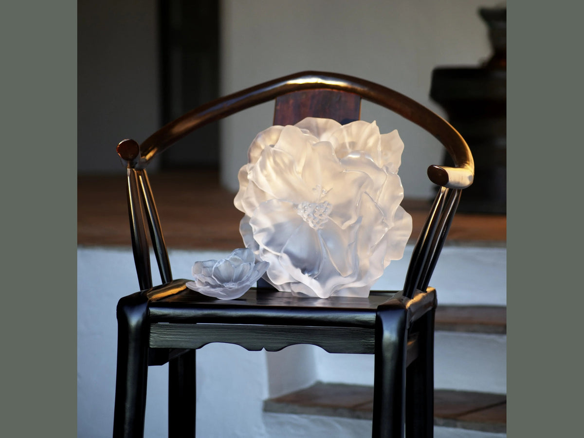 Daum Camelia Coupe petit modèle Blanche glass flower sculpture on a dark chair