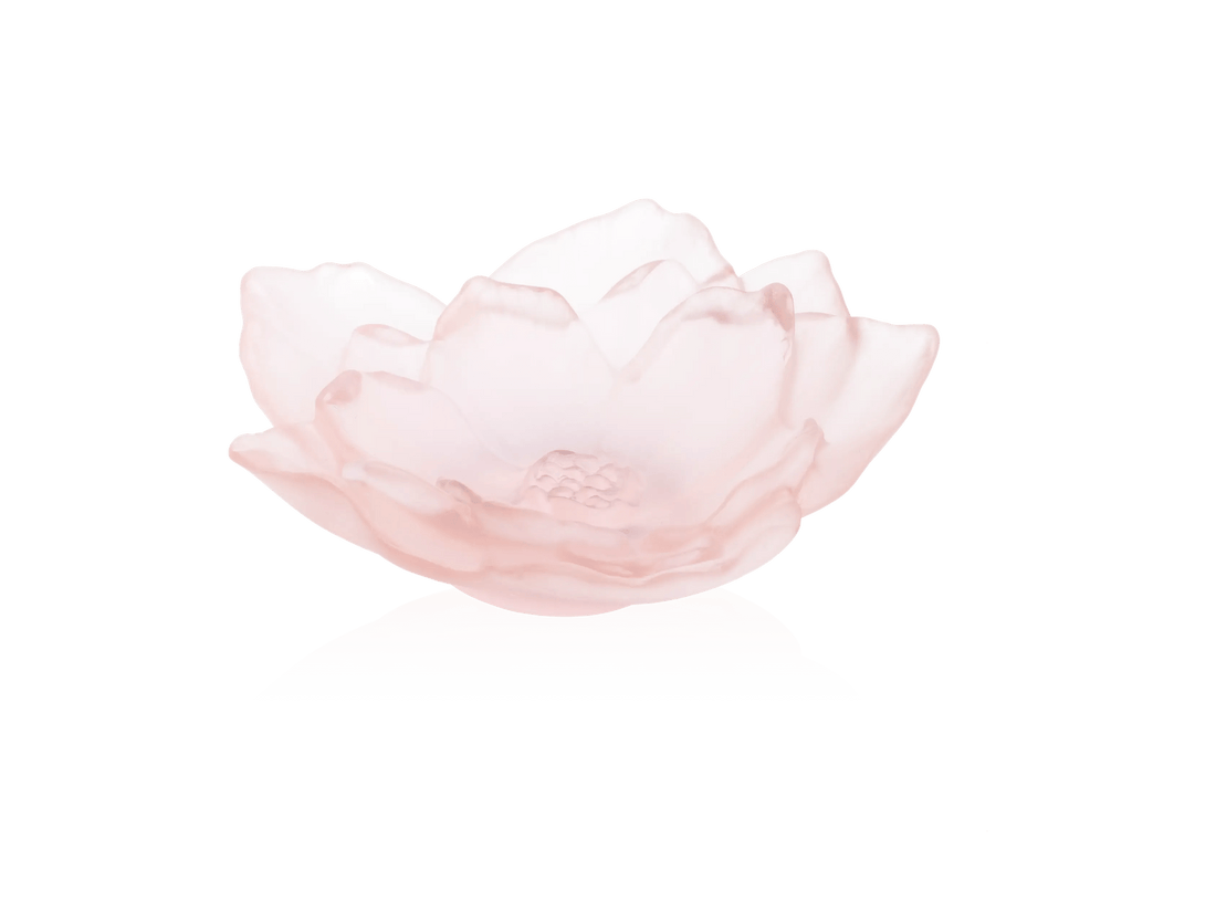 Daum Camelia Coupe pink frosted glass flower bowl on a white background.