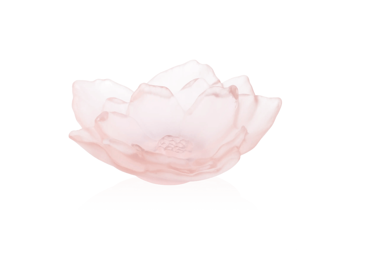 Daum Camelia Coupe pink frosted glass flower bowl on a white background.