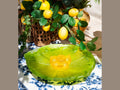 daum-default-title-citrus-coupe-sur-pied-225ex-57202635800915_a42ac6d9-71c2-45b1-99f7-d18c74ce5787 - Benjamin & Maxwell