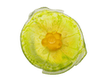 Luxury Citrus Coupe sur pied 225ex- Benjamin & Maxwell