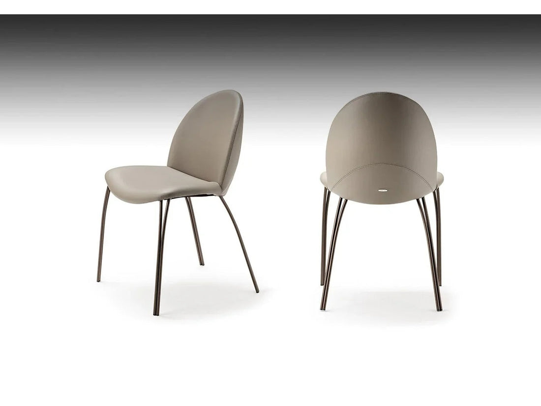 Luxury HOLLY Chair by Cattelan Italia - Benjamin & Maxwell