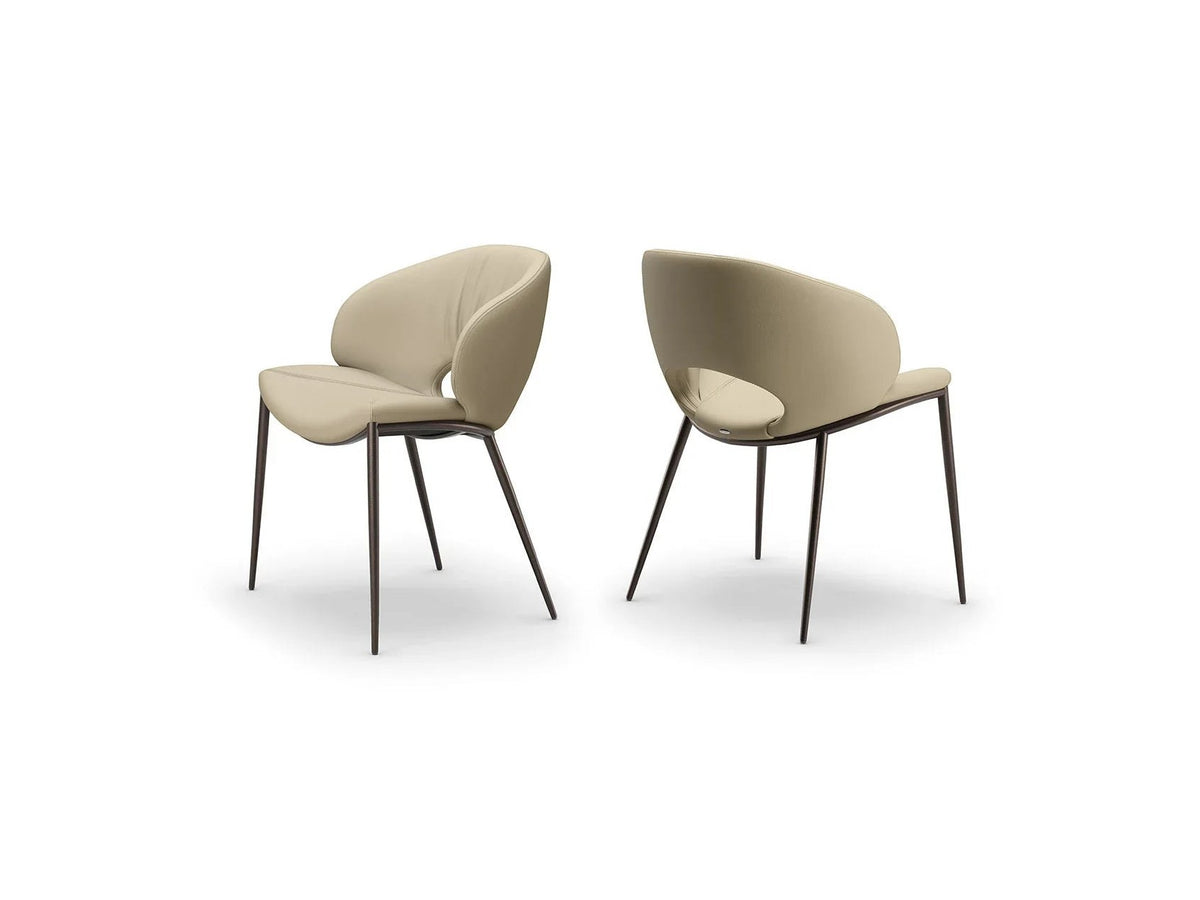 Luxury MIRANDA ML - Benjamin & Maxwell