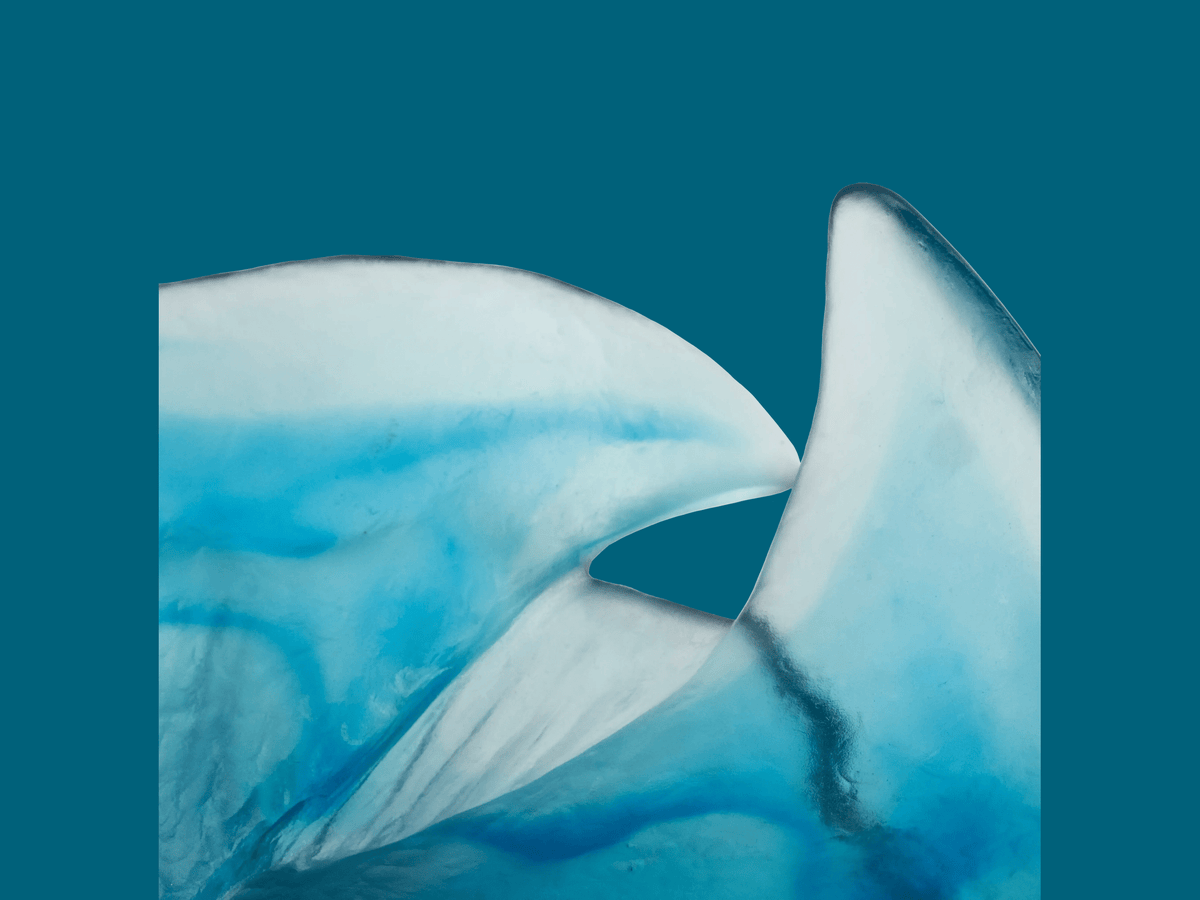 Abstract blue and white wavy patterns of Daum Maya Coupelle glass art.
