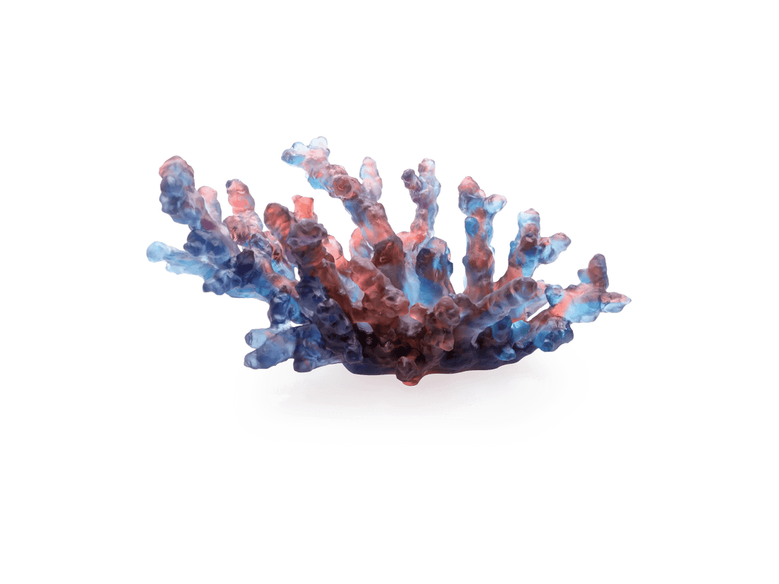 Daum Mer de Corail medium bowl in blue and red glass on a white base
