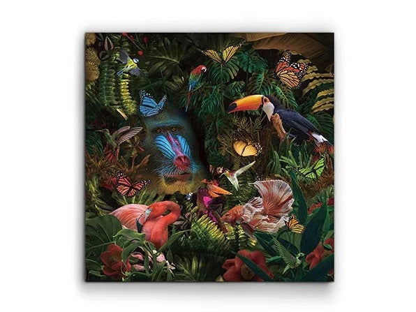 Luxury SCHULLER  Selvatica  - Benjamin & Maxwell