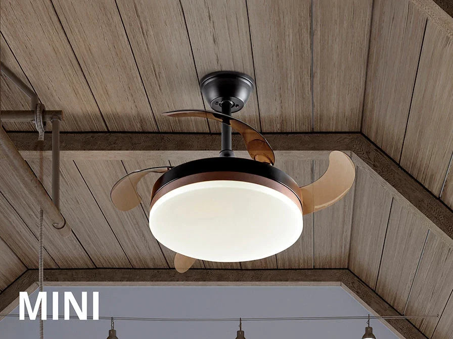 Luxury SCHULLER VENTO MINI - Benjamin & Maxwell