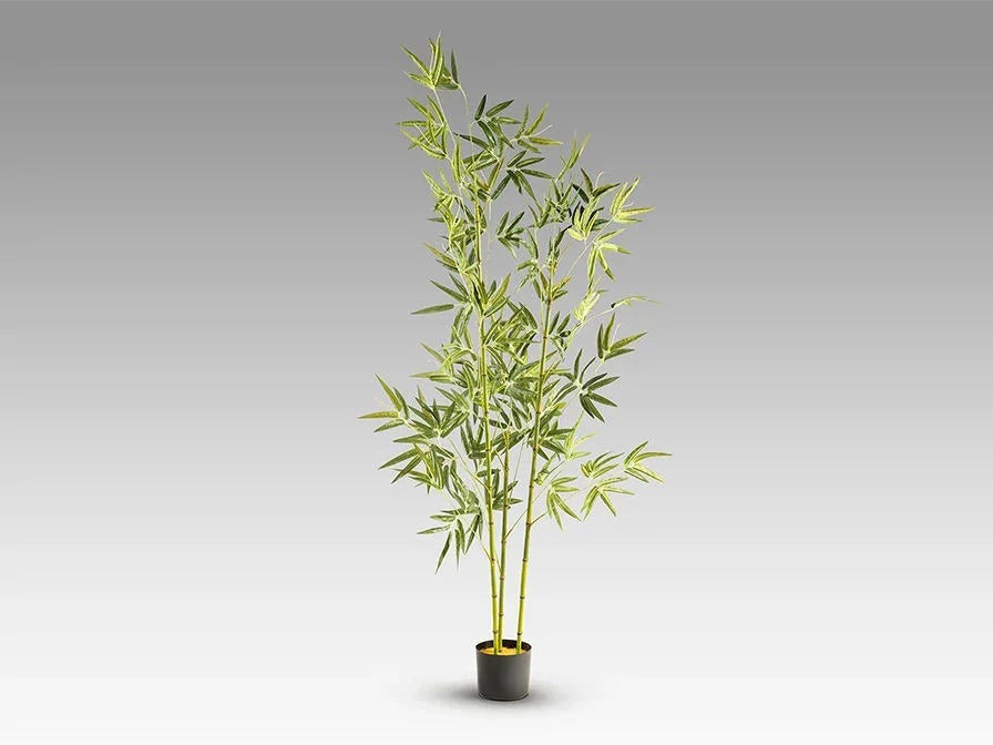 Luxury Schuller ARTIFICIAL PLANT - Benjamin & Maxwell
