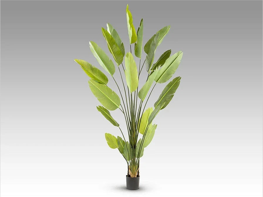 Luxury Schuller ARTIFICIAL PLANT- Benjamin & Maxwell