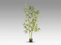 Luxury Schuller ARTIFICIAL PLANT- Benjamin & Maxwell