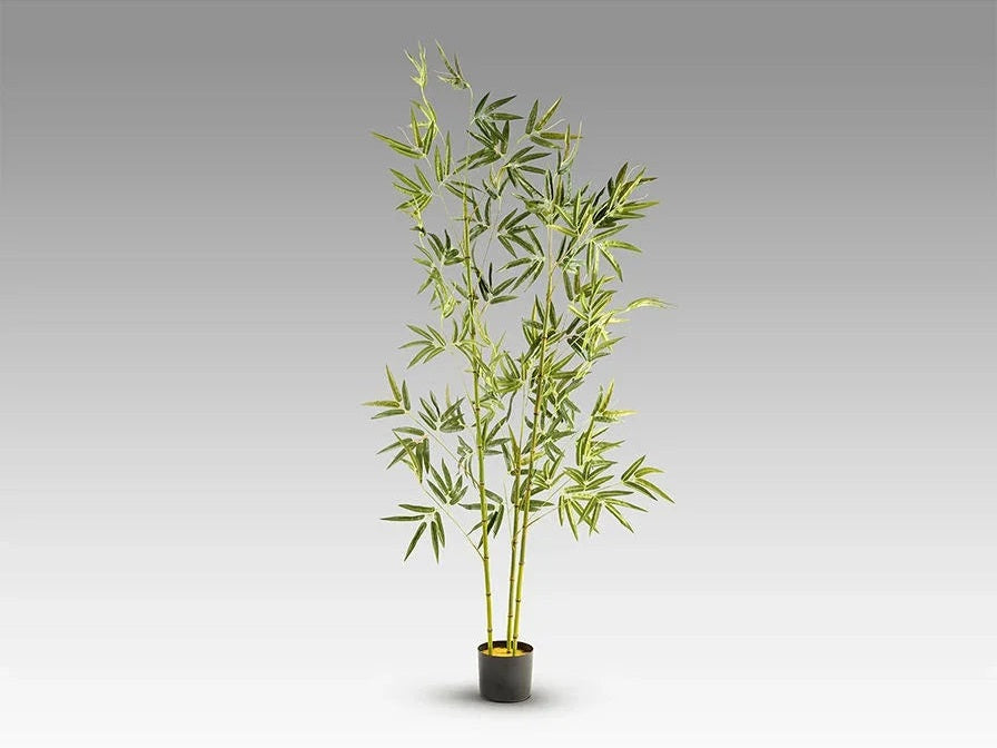Luxury Schuller ARTIFICIAL PLANT- Benjamin & Maxwell