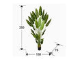 Luxury Schuller ARTIFICIAL PLANT- Benjamin & Maxwell