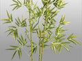 Luxury Schuller ARTIFICIAL PLANT - Benjamin & Maxwell