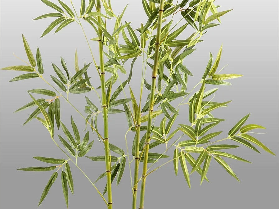 Luxury Schuller ARTIFICIAL PLANT - Benjamin & Maxwell
