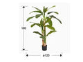 Luxury Schuller ARTIFICIAL PLANT - Benjamin & Maxwell