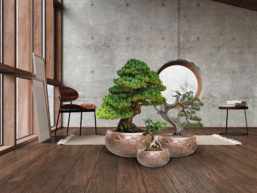 Luxury Schuller CANELA- SET 3 PLANTERS- - Benjamin & Maxwell