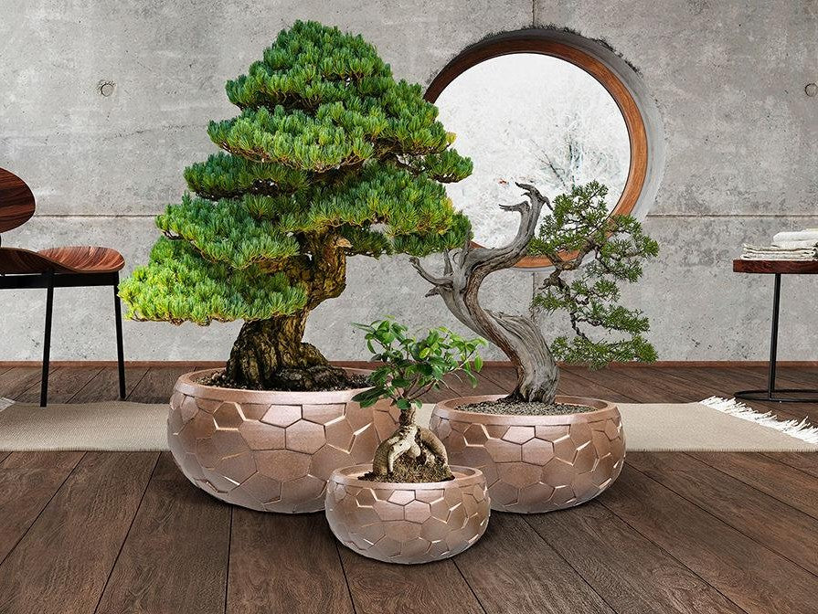 Luxury Schuller CANELA- SET 3 PLANTERS- - Benjamin & Maxwell