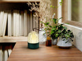 Luxury Schuller GREEN PORTABLE TABLE LAMP - Benjamin & Maxwell