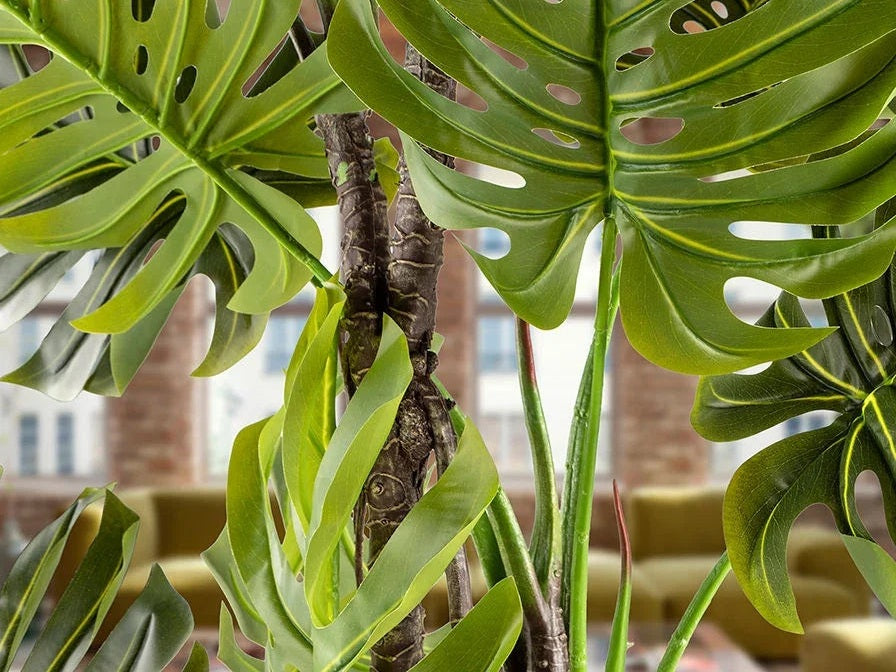 Luxury Schuller MONSTERA - ARTIFICIAL PLANT- Benjamin & Maxwell