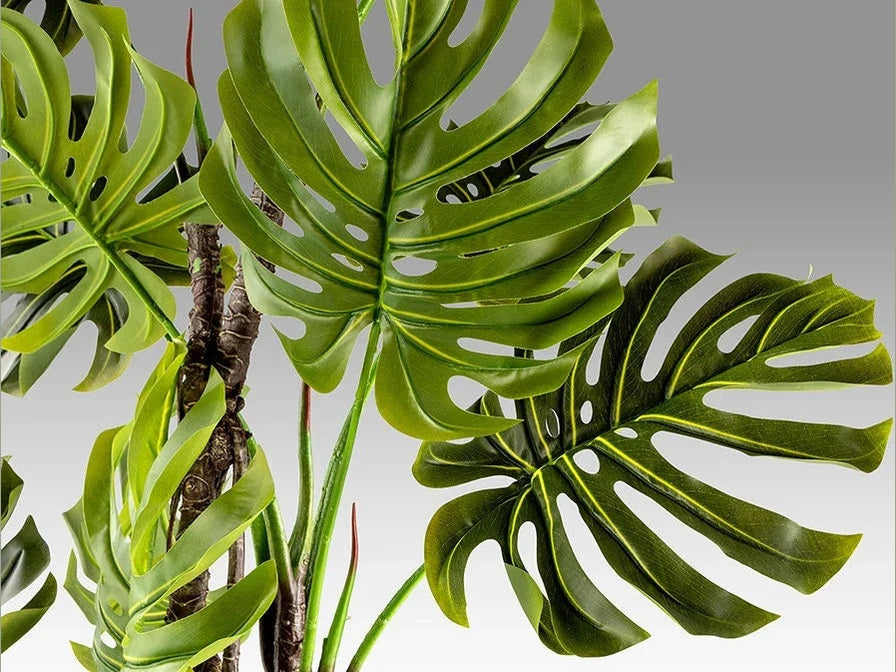 Luxury Schuller MONSTERA - ARTIFICIAL PLANT - Benjamin & Maxwell