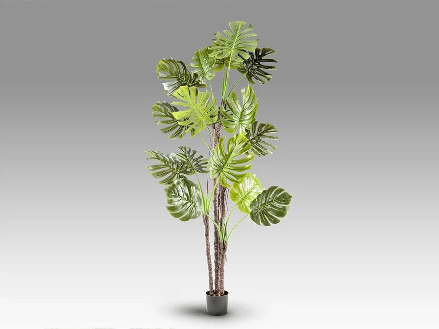 Luxury Schuller MONSTERA - ARTIFICIAL PLANT- Benjamin & Maxwell