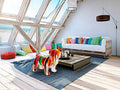 Luxury Schuller Otto Medium Bulldog Colours - Benjamin & Maxwell