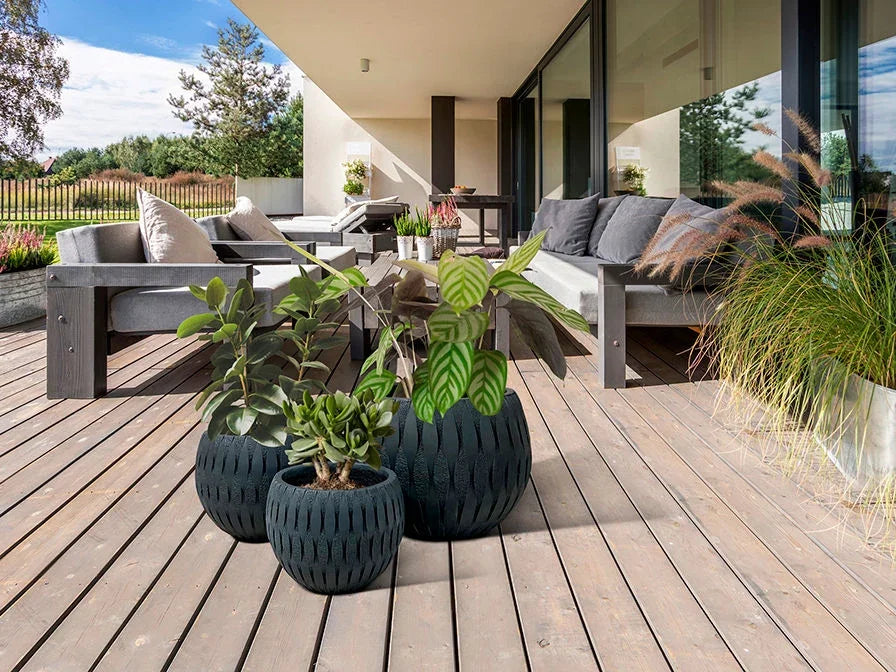 Luxury Schuller YUCA- SET 3 PLANTERS-BLACK - Benjamin & Maxwell