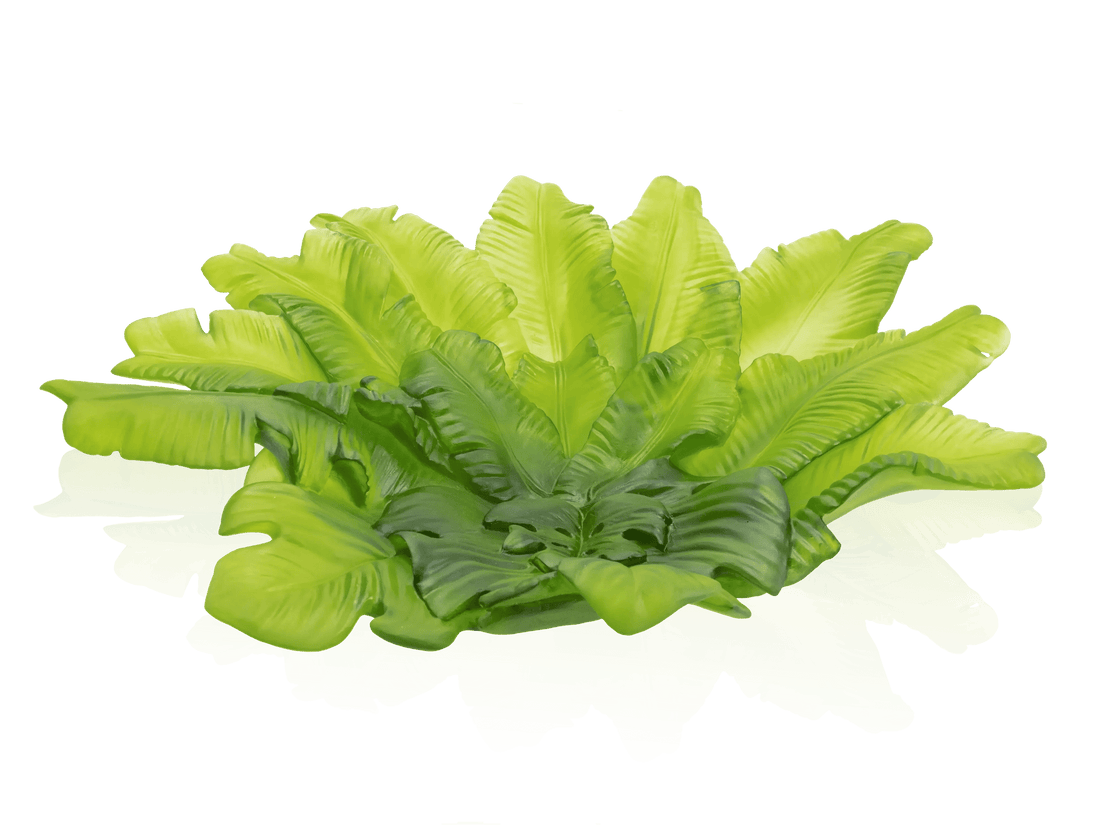 Daum Tutti Frutti Coupe grand modèle 175ex glass centerpiece with green leaf design
