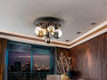 Luxury schuller Dark Ceiling Lamp  - Benjamin & Maxwell