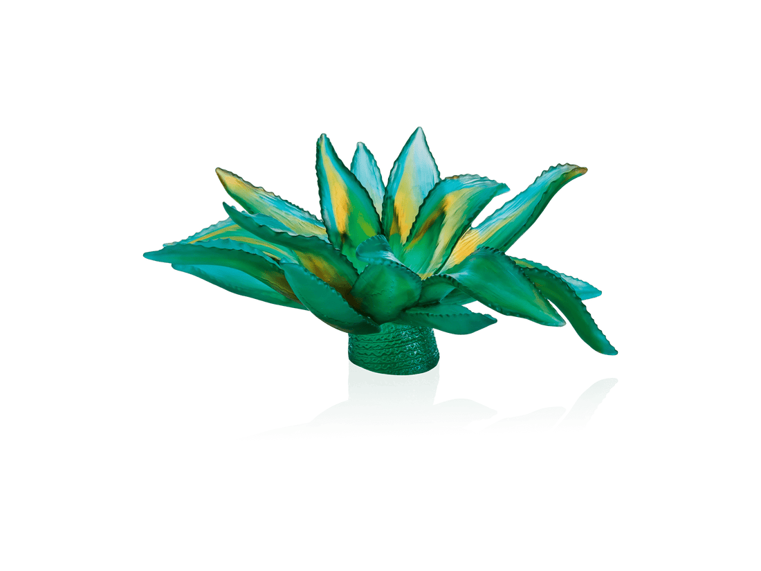 Modern Jardin de Cactus Centre de table Vert de  - Benjamin & Maxwell