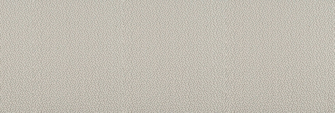 Coral 0006