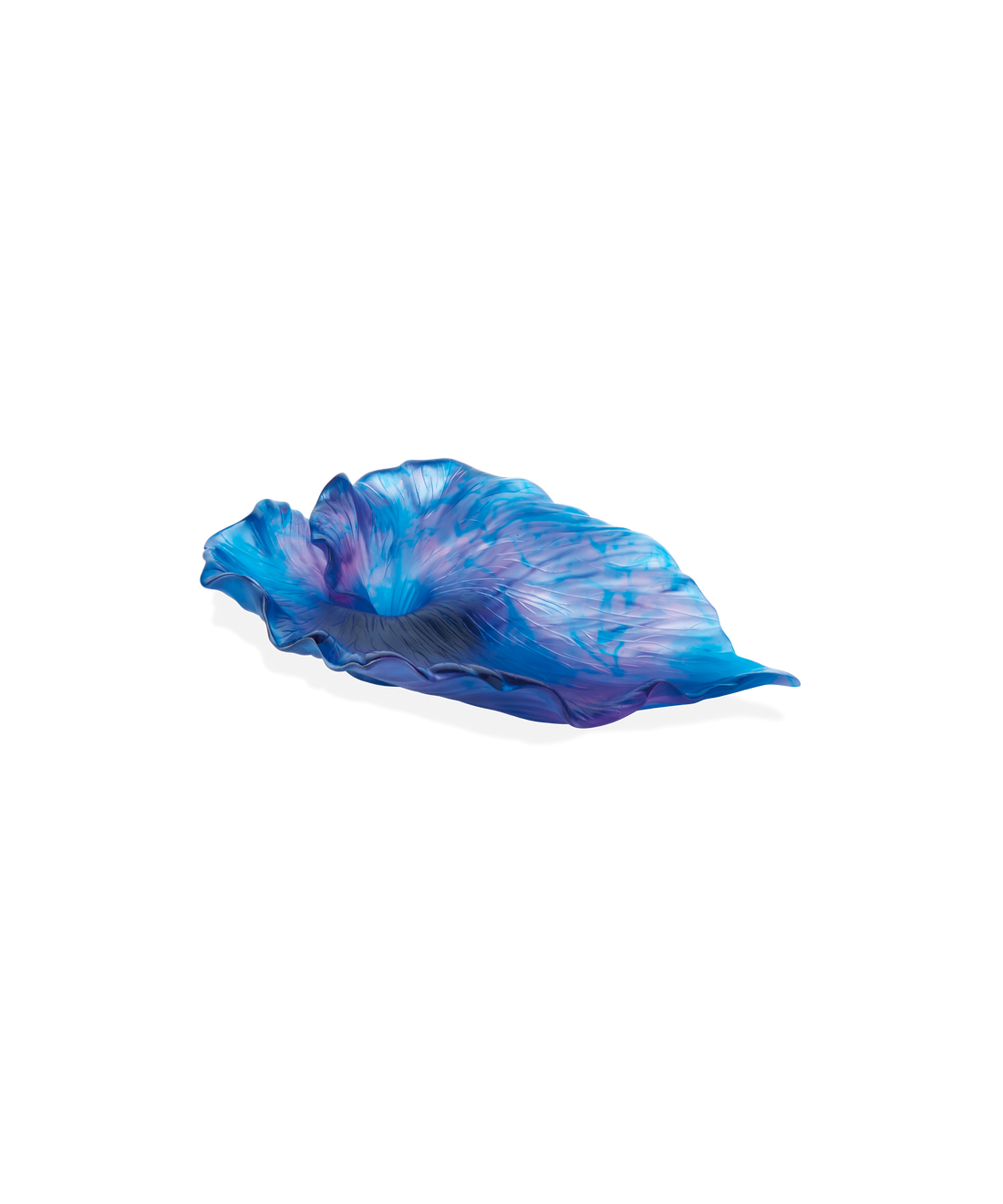 Arum Coupe Bleu nuit - Daum