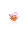 Arum Fleur décorative Ambre-rose - Daum