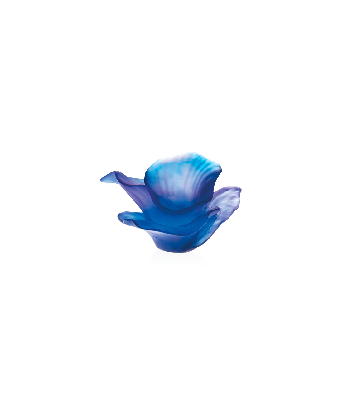 Arum Fleur décorative Bleu nuit - Daum
