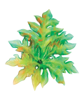 Bornéo Feuille murale grand modèle Verte de Emilio Robba - Daum