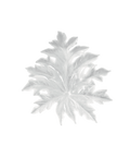 Bornéo Feuille murale petit modèle - fixation courte Blanche de Emilio Robba - Daum