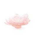 Camelia Coupe grand modèle Rose - Daum