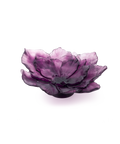 Camelia Coupe grand modèle Violette - Daum